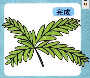含羞草儿童画