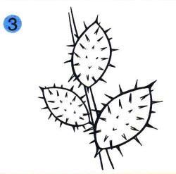 苍耳儿童画画法步骤03