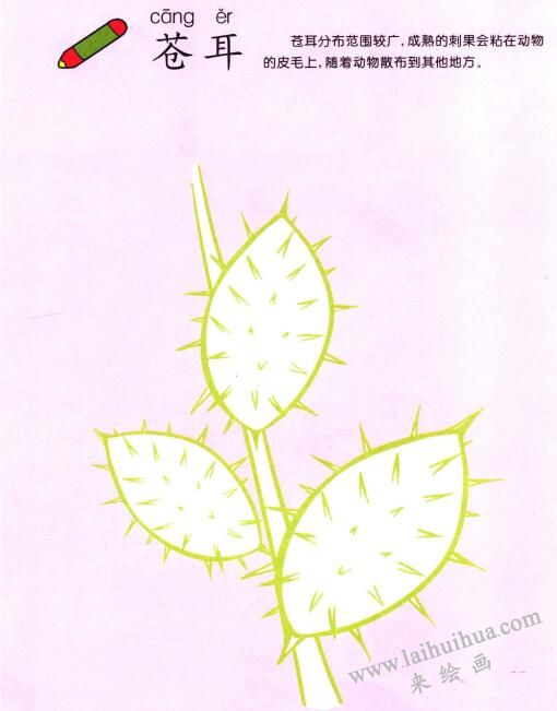 苍耳儿童画