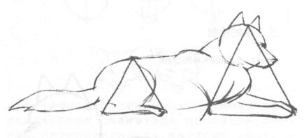 狼的素描绘制方法步骤02
