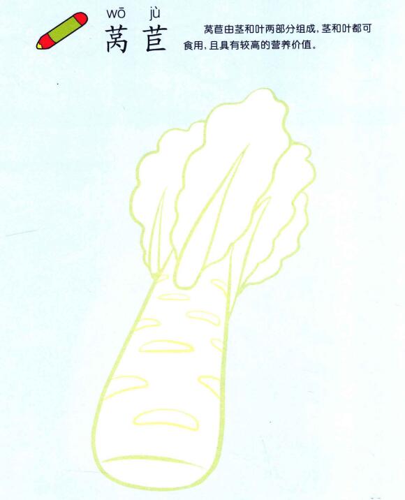 莴苣儿童画法