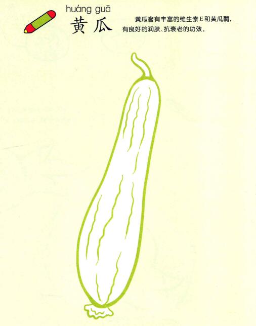 黄瓜儿童画法