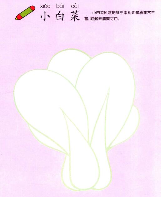 小白菜儿童画