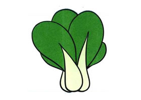 小白菜儿童画