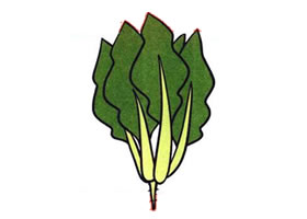 菠菜儿童画