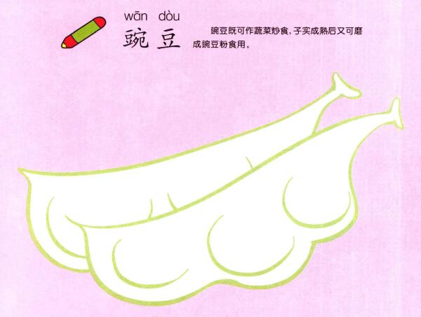 豌豆儿童画