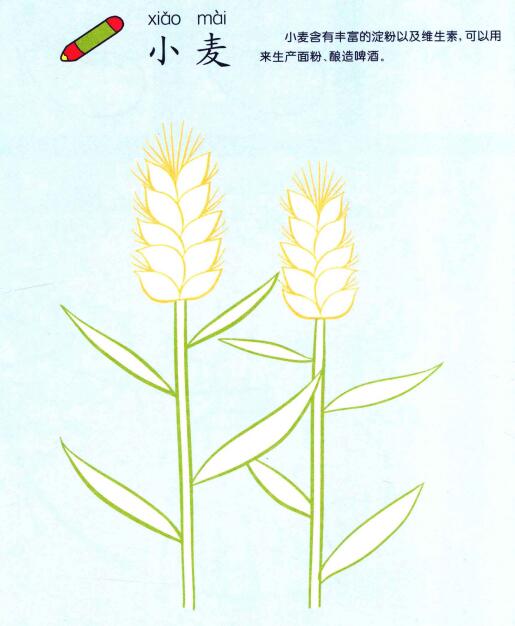 小麦儿童画
