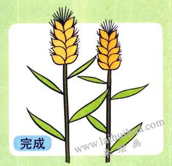 小麦儿童画
