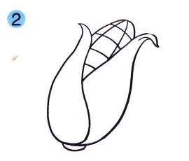 玉米儿童画画法步骤02