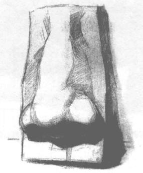 石膏鼻子素描画法步骤03