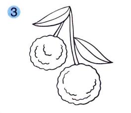 荔枝儿童画画法步骤03