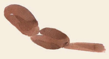 麻雀儿童国画画法步骤02
