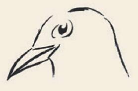 黄鹂儿童国画画法步骤02