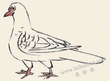 鸽子儿童国画