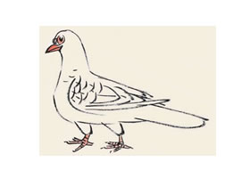 鸽子儿童国画