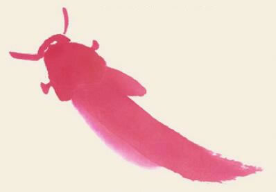 鲤鱼儿童国画画法步骤03