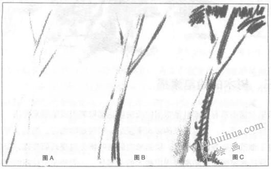 树的素描绘制01