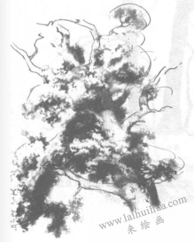 树木风景素描绘制方法02
