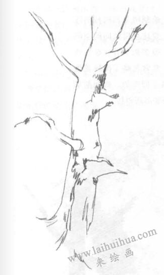 树木风景素描绘制方法03