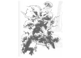 树木风景素描绘制方法