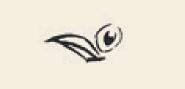 孔雀儿童国画画法步骤01