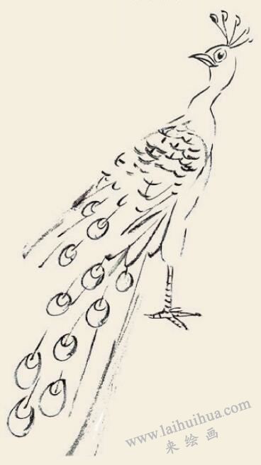 孔雀儿童国画画法步骤04