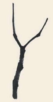 杨树儿童国画画法步骤01