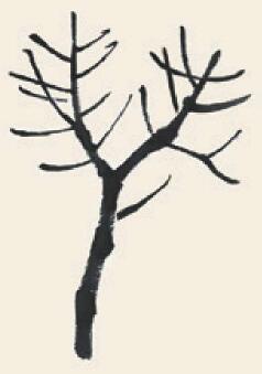 杨树儿童国画画法步骤02