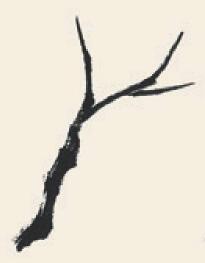 柳树儿童国画画法步骤01