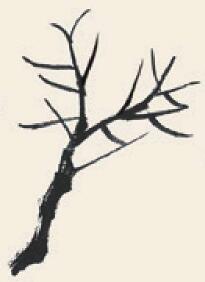 柳树儿童国画画法步骤02