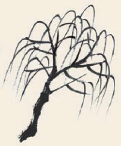 柳树儿童国画画法步骤03