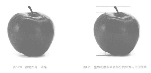如何画好素描画：整体观察