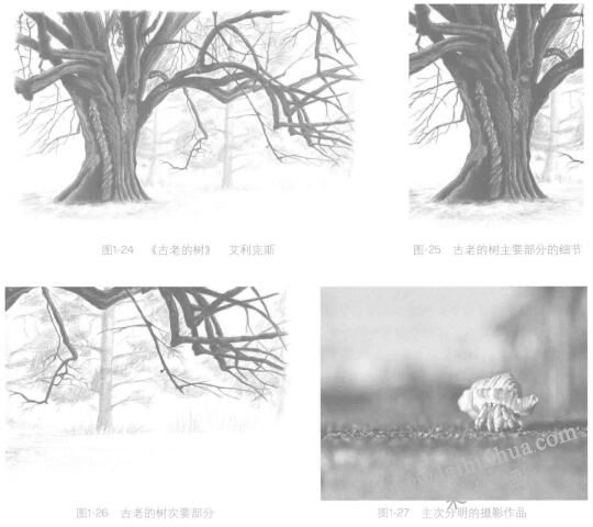 如何画好素描画：分清主次
