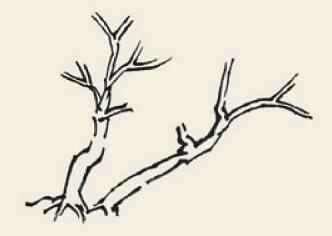 野渡春风儿童国画画法步骤01