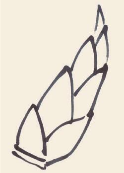 竹笋儿童国画画法步骤03