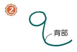 湖面上的鸭子简笔画画法步骤02