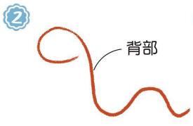 草地上的蛇简笔画画法步骤02