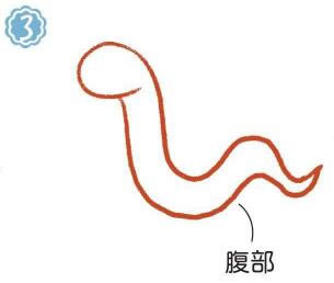 草地上的蛇简笔画画法步骤03