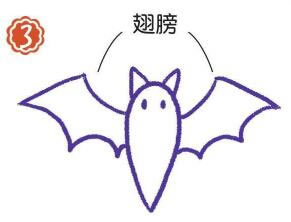 夜空中的蝙蝠简笔画画法步骤03
