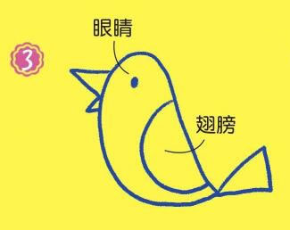 在树上的鸟儿简笔画画法步骤03