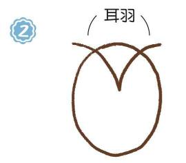 树上的猫头鹰简笔画画法步骤02