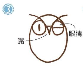 树上的猫头鹰简笔画画法步骤03