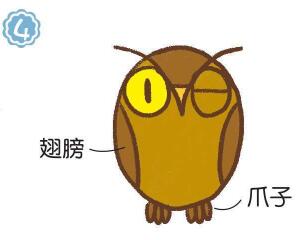 猫头鹰简笔画