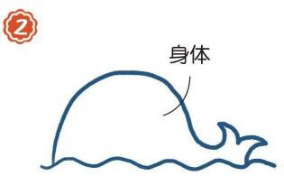 海面上的抹香鲸简笔画画法步骤02