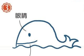 海面上的抹香鲸简笔画画法步骤03