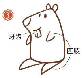河边的河狸简笔画画法步骤03