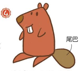 河狸简笔画