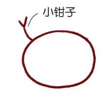 海边的招潮蟹简笔画画法步骤02