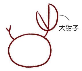 海边的招潮蟹简笔画画法步骤03