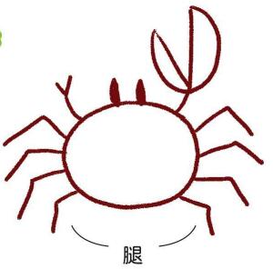 海边的招潮蟹简笔画画法步骤05
